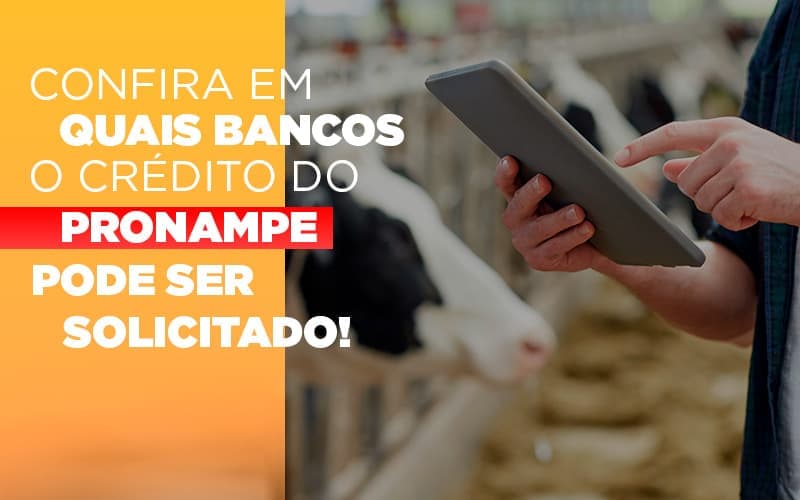 Confira em quais bancos o crédito do Pronampe já pode ser solicitado!